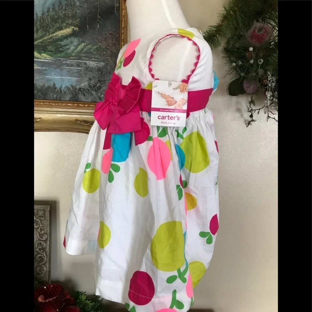 Carter’s Baby Girl Dress NWT